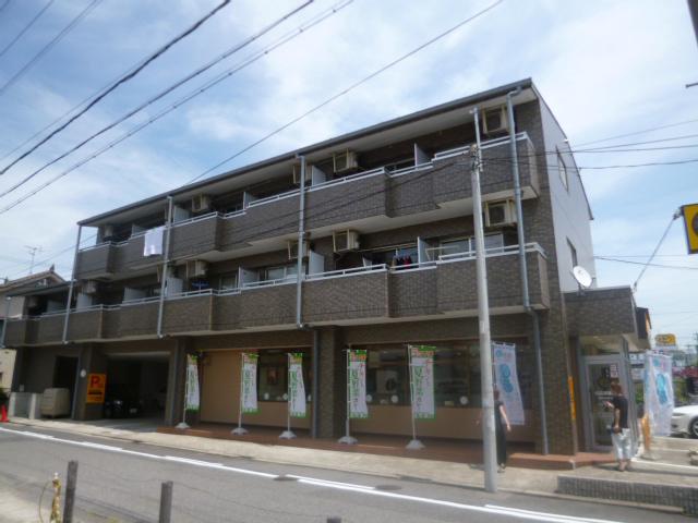 ドエル・マルモ101