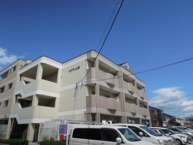 セフティ上坂