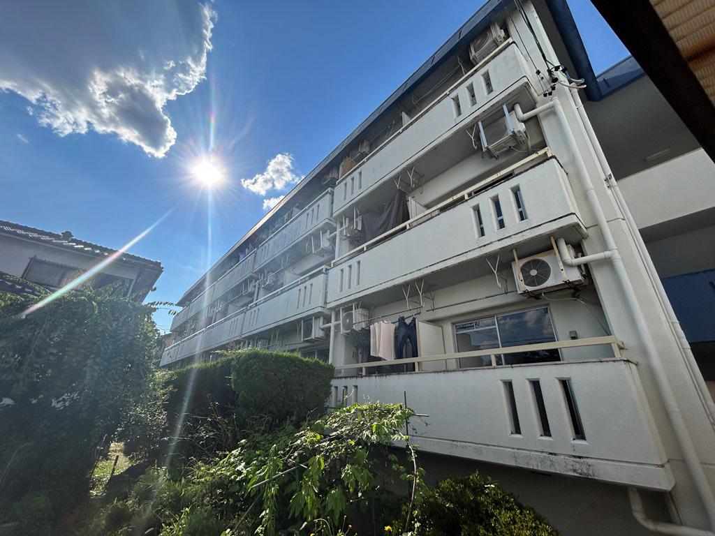 スカイブルー80