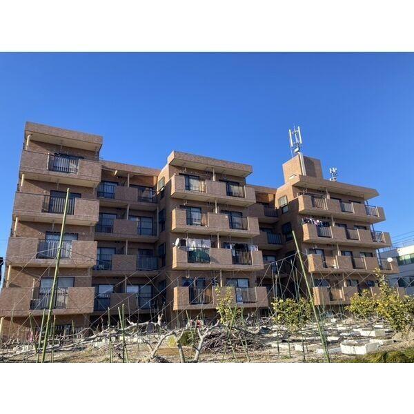 コートメゾン25