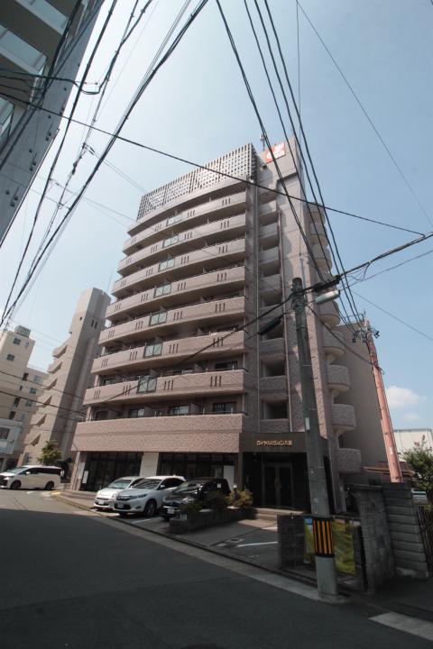 ロイヤルピジョン八田