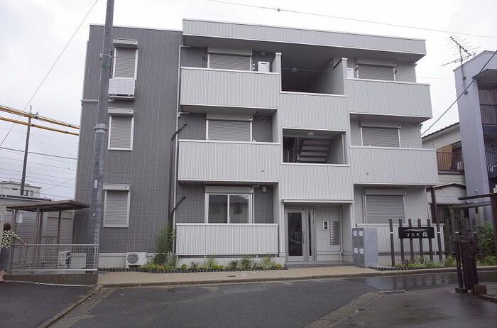 コスモ錦