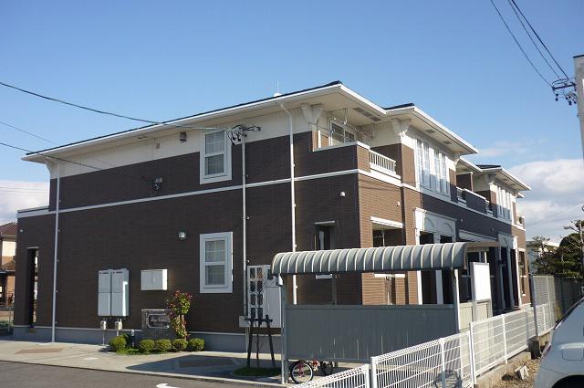 ファイン シーダー