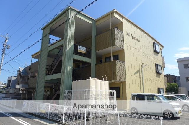 リプルイワツキ