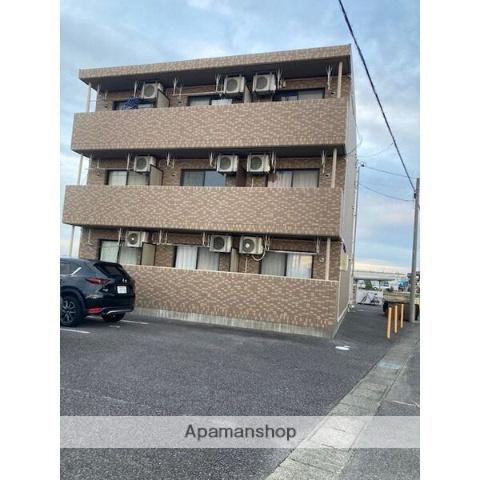 ロイヤルサルビア