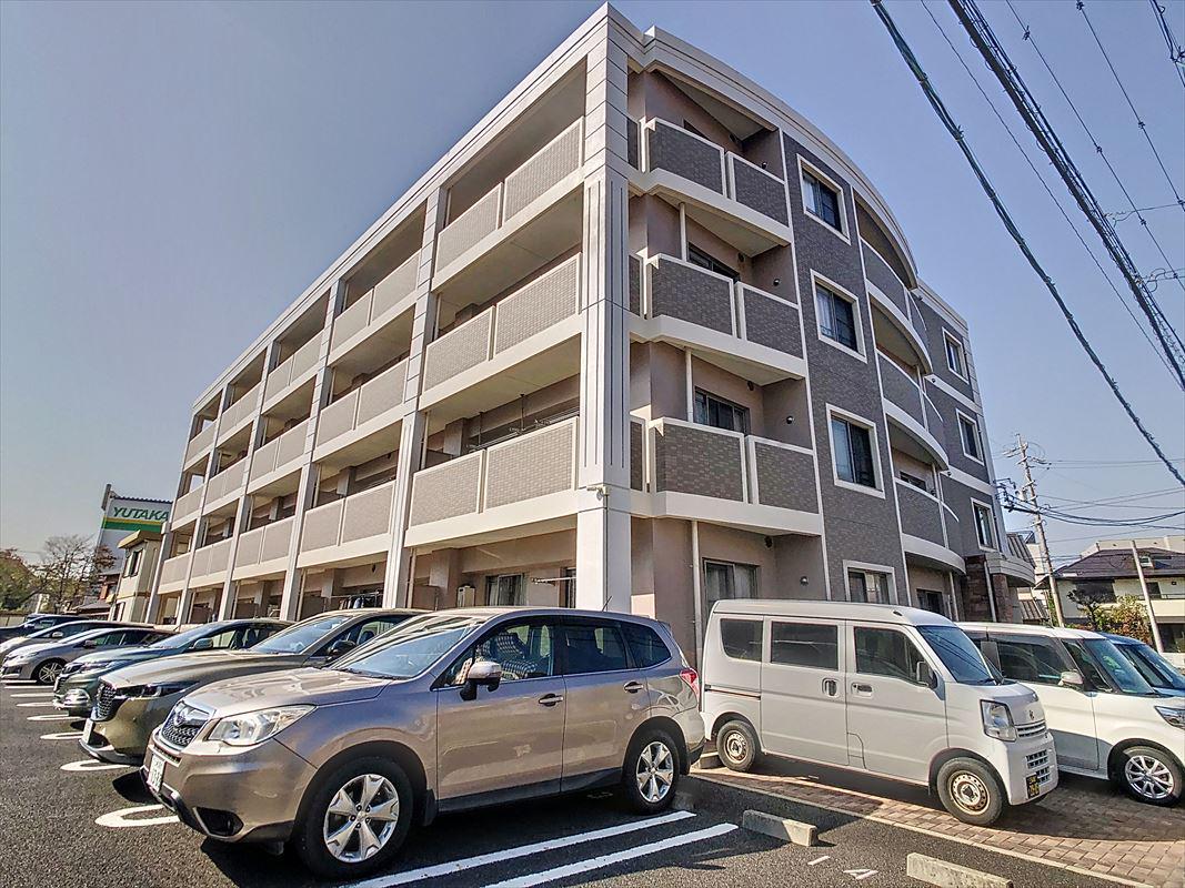 ベルグリシーヌ