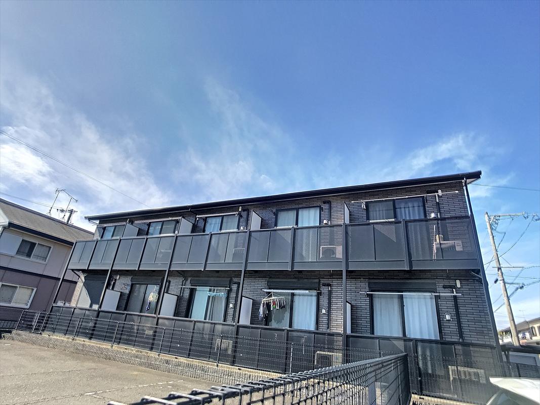 アンプルールリーブルSENⅡ