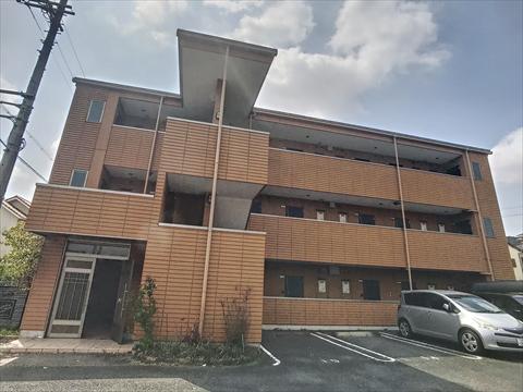 ノビリティマルユウ