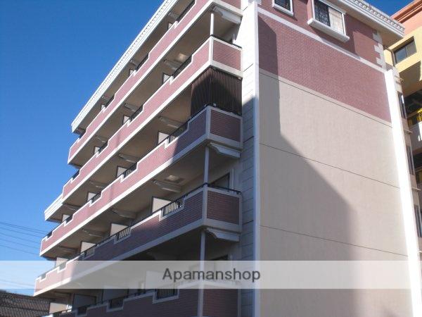 グレイスコート