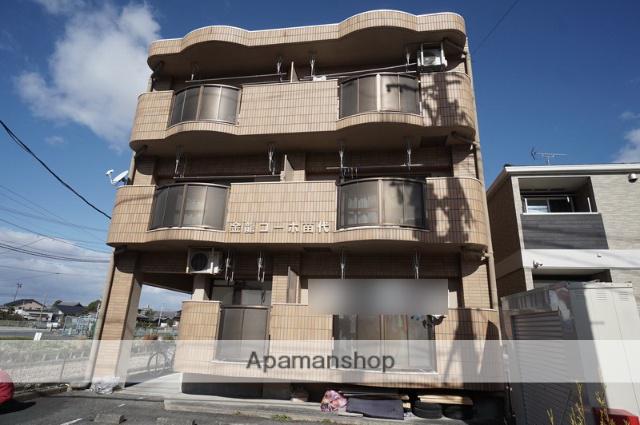 金龍コーポ苗代(1DK/1階)