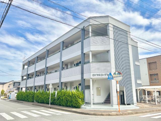 ロイヤルコープM