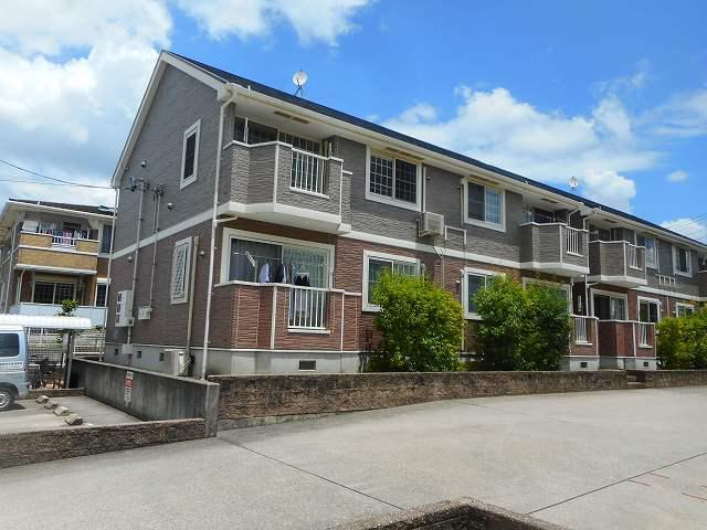 アン・コリーヌ