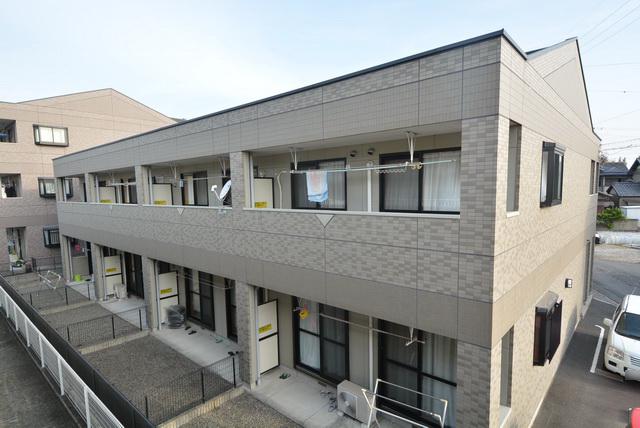 PRONITYHIRANO C