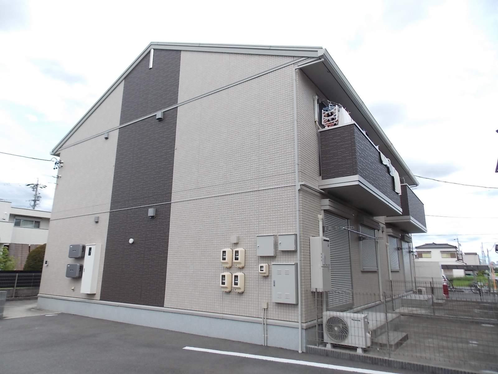 ヴァン オーキッド