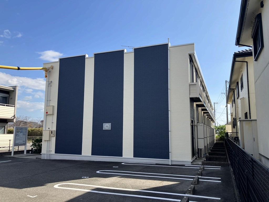 レオネクスト向日葵