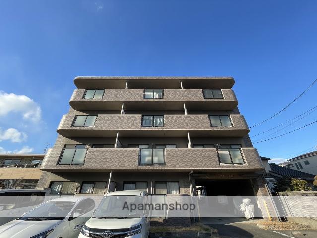 アムール正保