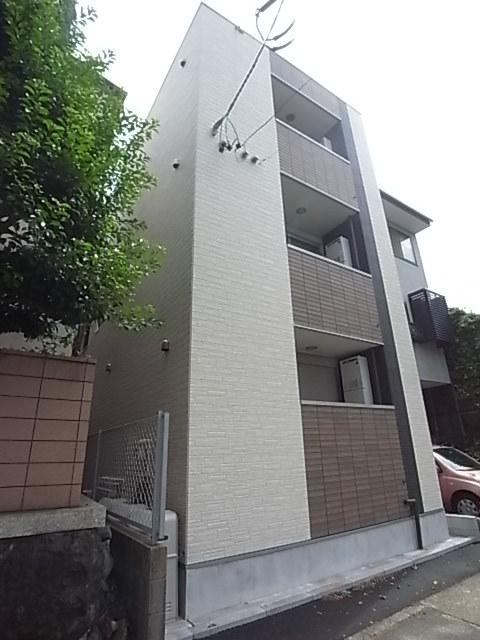 カーサルピナスティーアール