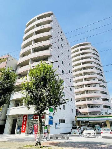 さくら HILLS 富士見(2LDK/8階)