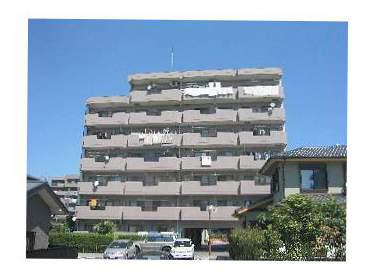 グレース川村