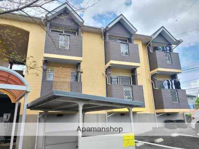 シャルムスズキ