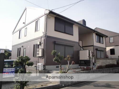 マウントクックABC