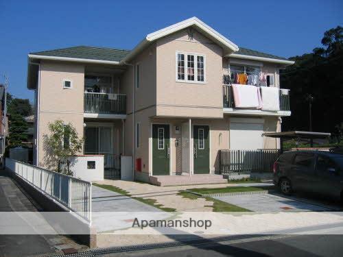 カラー クインテット