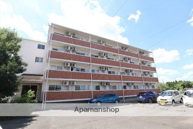 マルベリーハイアットⅢ