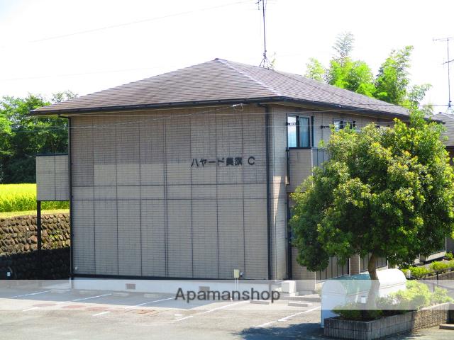 ハヤード美旗 C