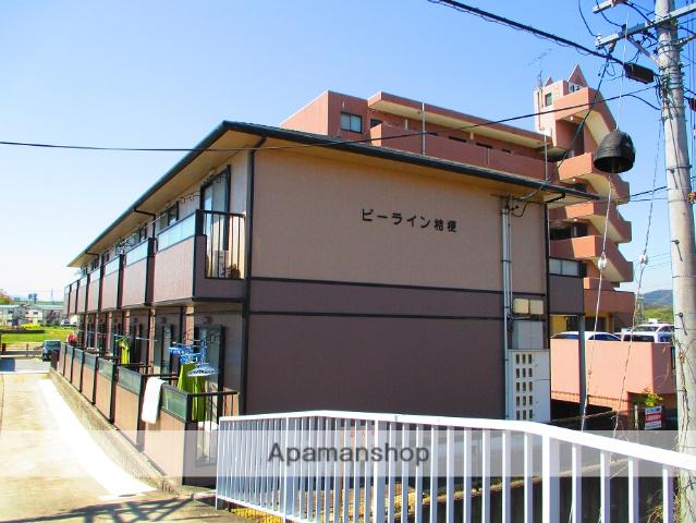 ビーライン桔梗