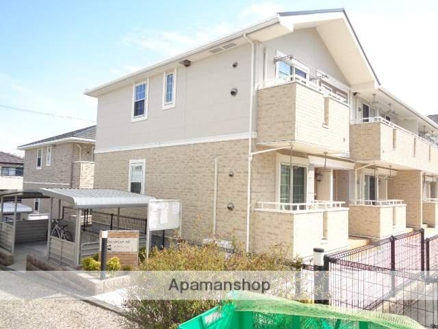 ダンデライオン ヒル