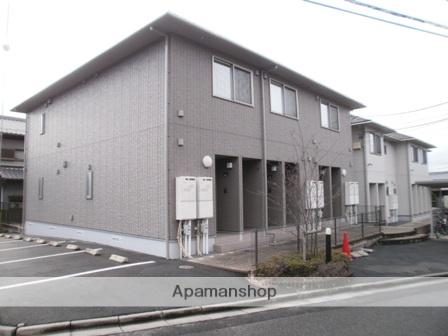 ダンディライオン