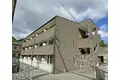 アンプルールフェール樹