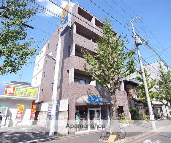 ゴールドクレスト