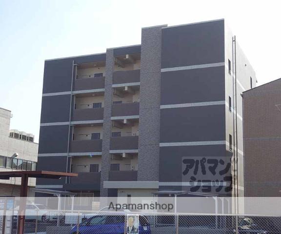 ブライトアイリス