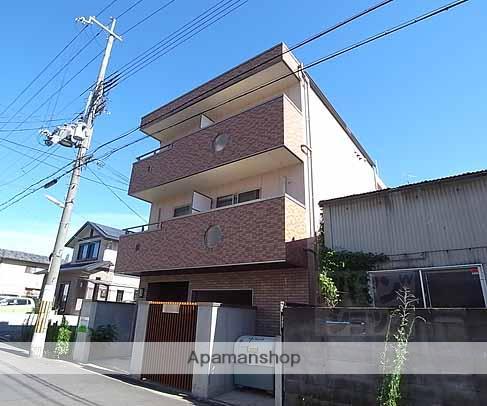 ラナンキュラス