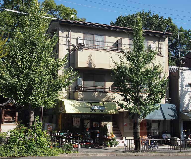 ブリランテ智積院