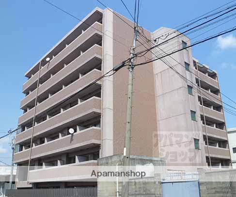 ティムール九条