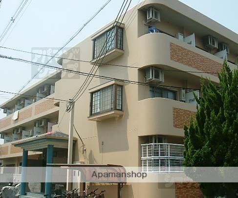 フォンテーヌ81