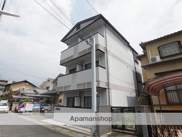 グランドールカキノキ