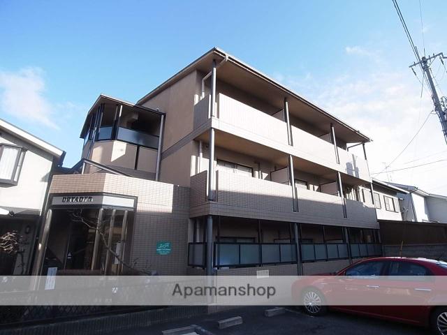 ドリアード下鴨