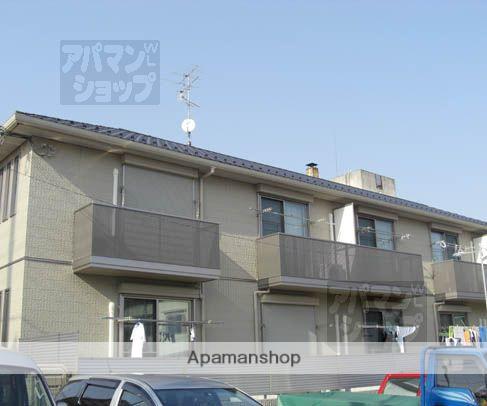 スプリング大将軍