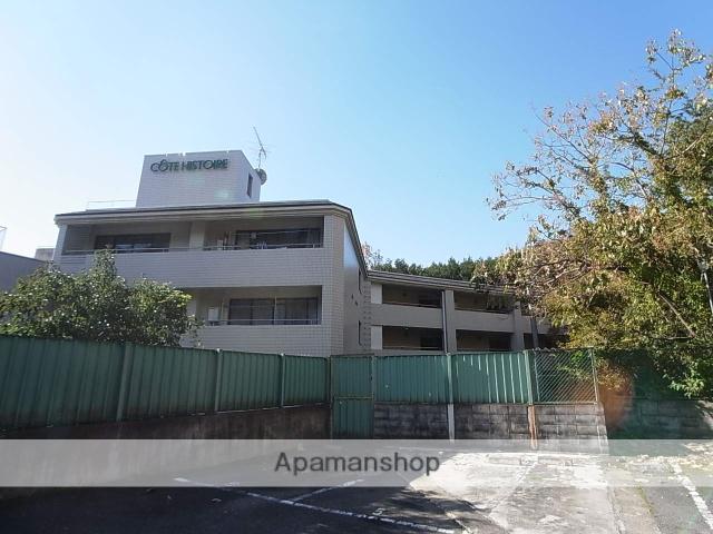 リアライズ衣笠