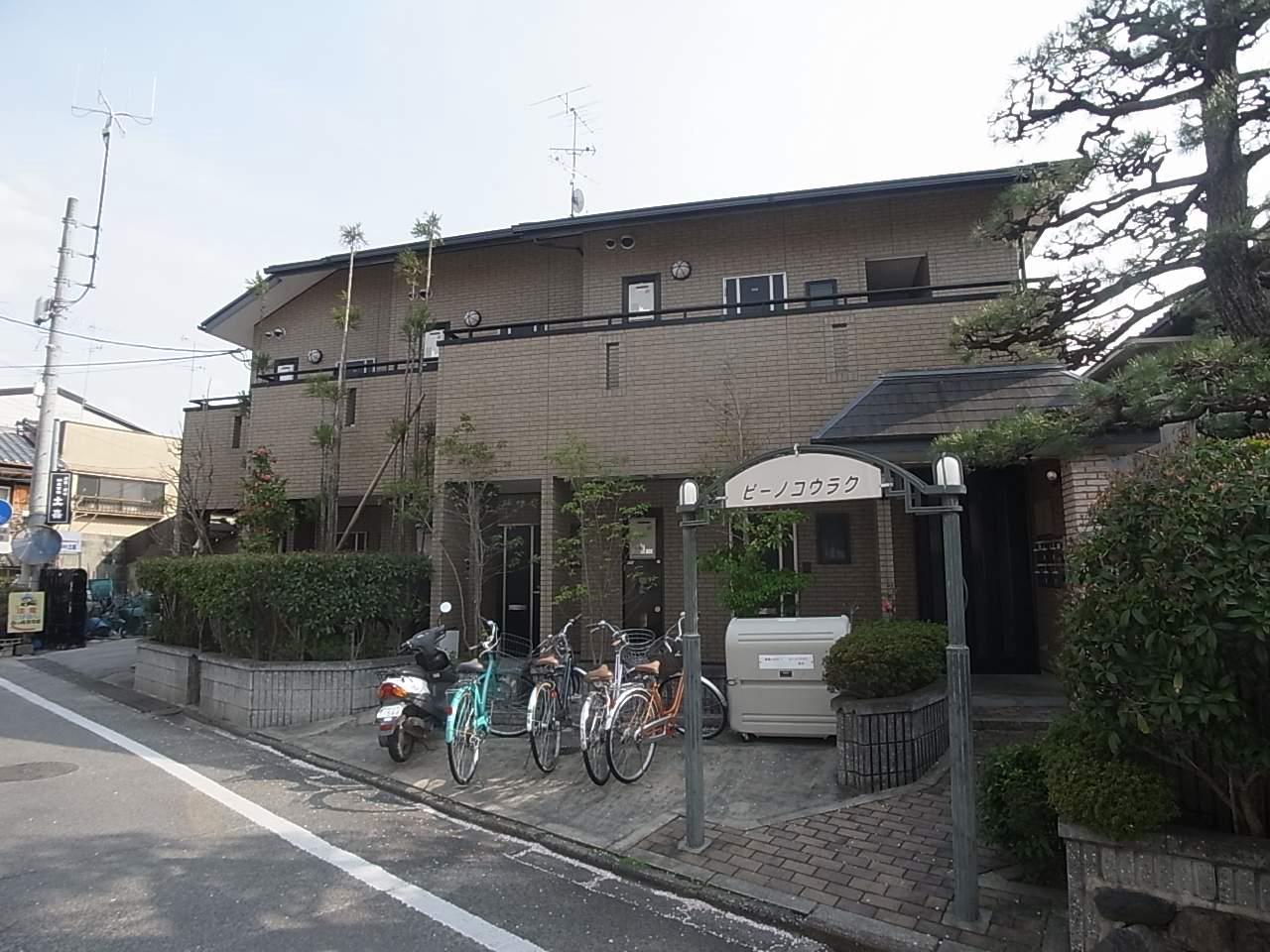 ピーノコウラク