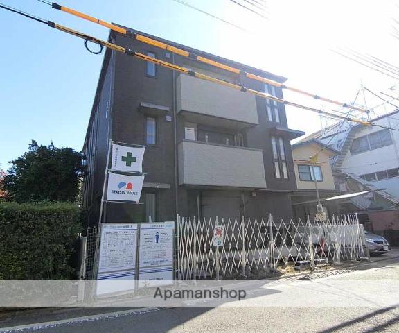 SHAMAISON PLUM BLOSSOM