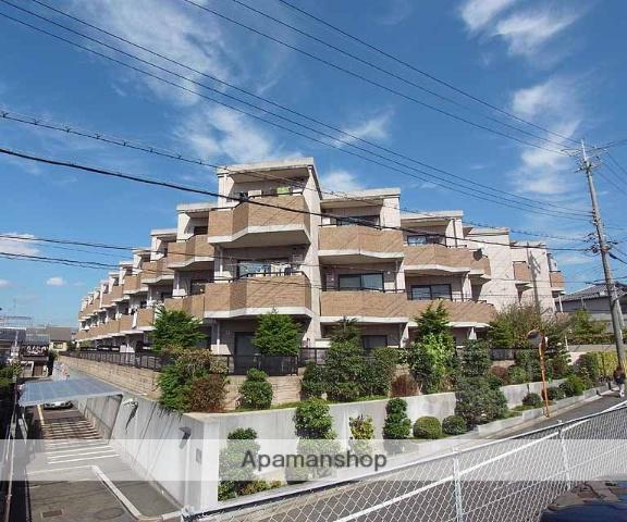 GRAN PINO 伏見桃山