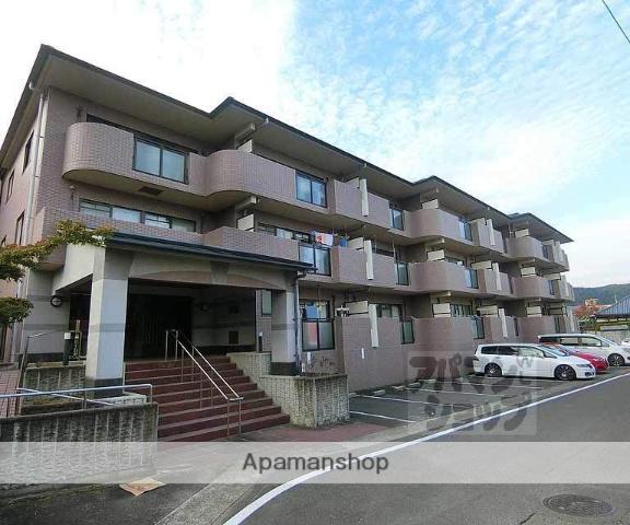 ミレニアム加納