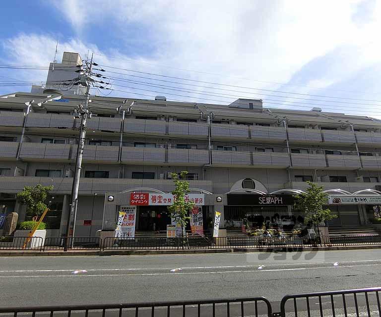 メゾン・ド・リビエール(1K/5階)