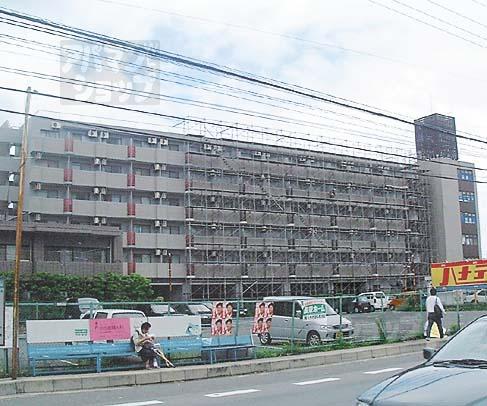 ジュネス神楽田