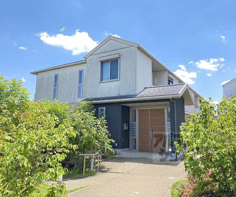 シャーメゾンローズ(2LDK/1階)