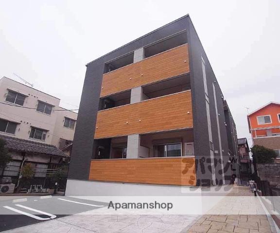 ハルフクイ 観月